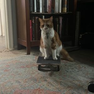 Meet your Posher, Lilly